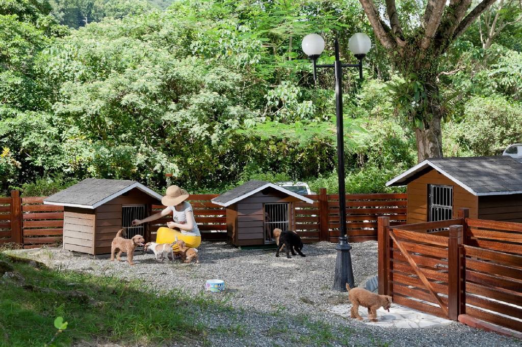 Hotel Royal Chihpin Wenquan Ngoại thất bức ảnh A dog hotel in the United States